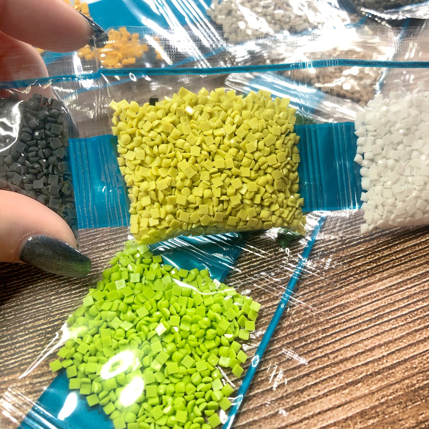 Gänseblümchen-Blumen - Volles Quadrat