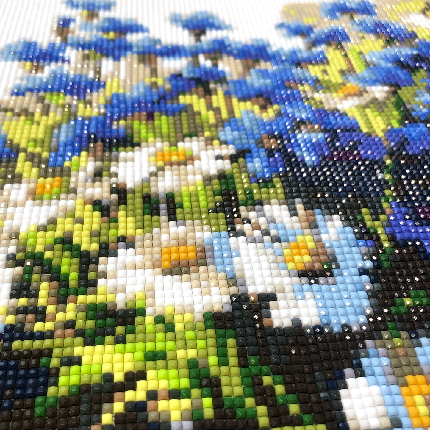 Gänseblümchen-Blumen - Volles Quadrat