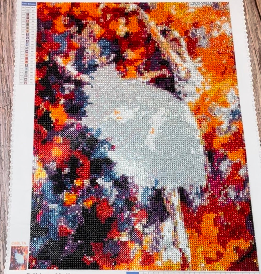 Ballett - Voller Strass