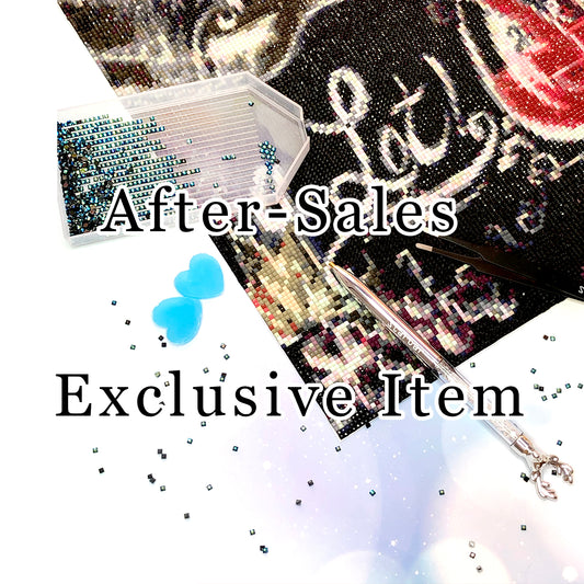 After-Sales Exclusive Item